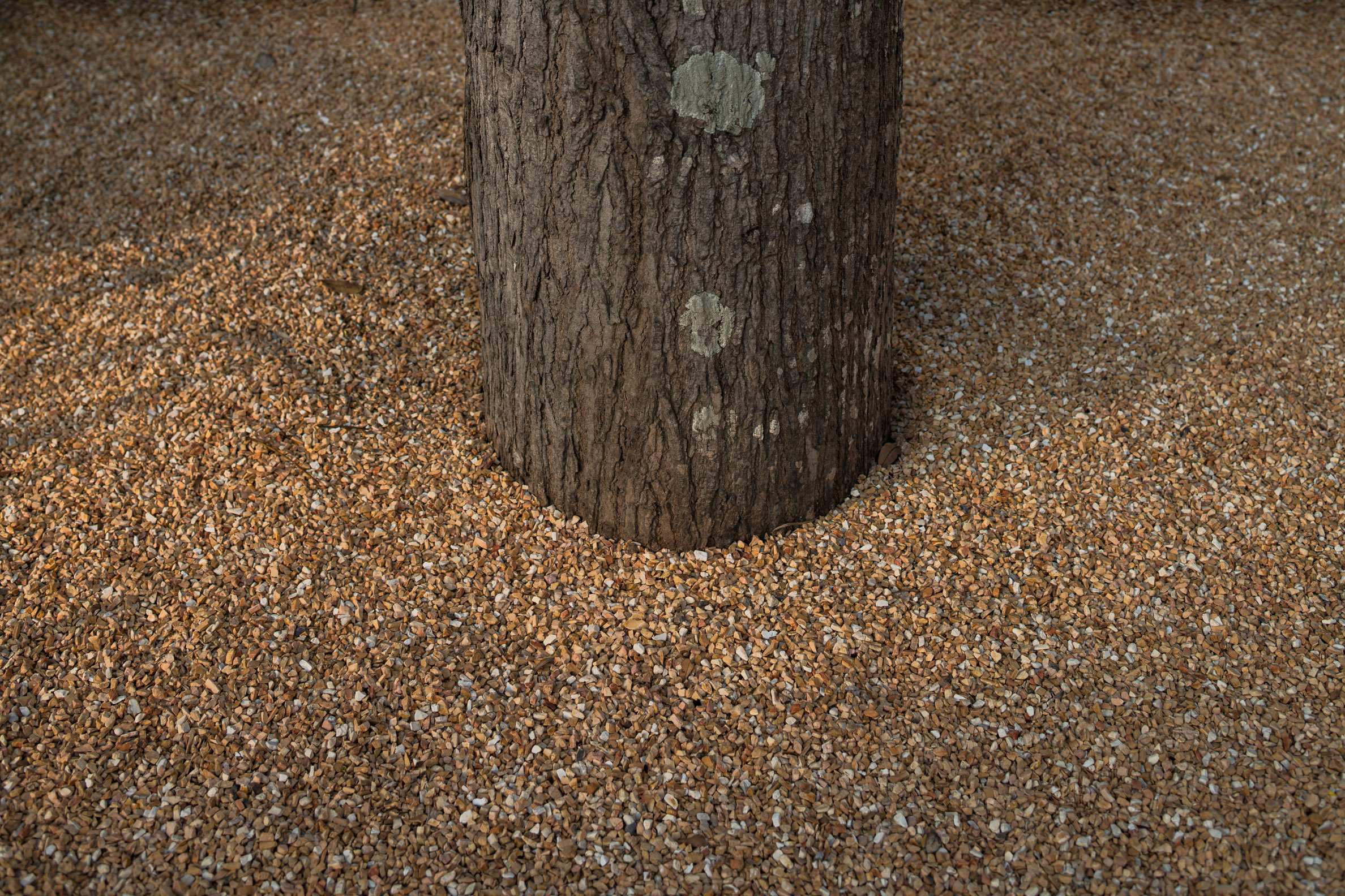 Residences & Real Estate Projects | Wison Tungthunya & W Workspace	-19