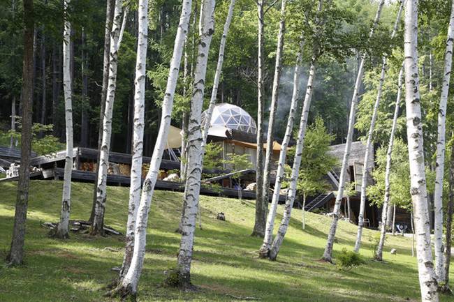 森林房屋屋顶穹顶项目丨日本丨General Design Co. 建筑师 辛·奥霍里-7