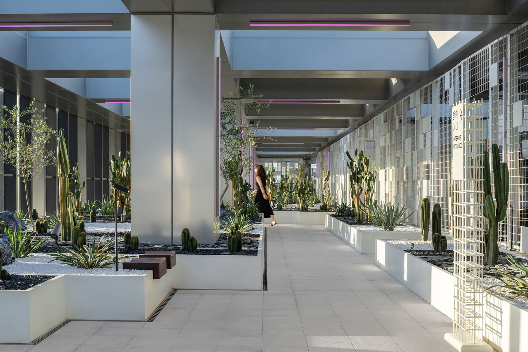 上海人工智能实验室花园设计丨中国上海丨BAM百安木-14