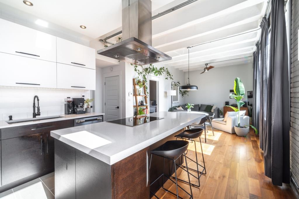 蒙特利尔比斯科特里维奥标志性建筑内的豪华公寓丨加拿大魁北克-22