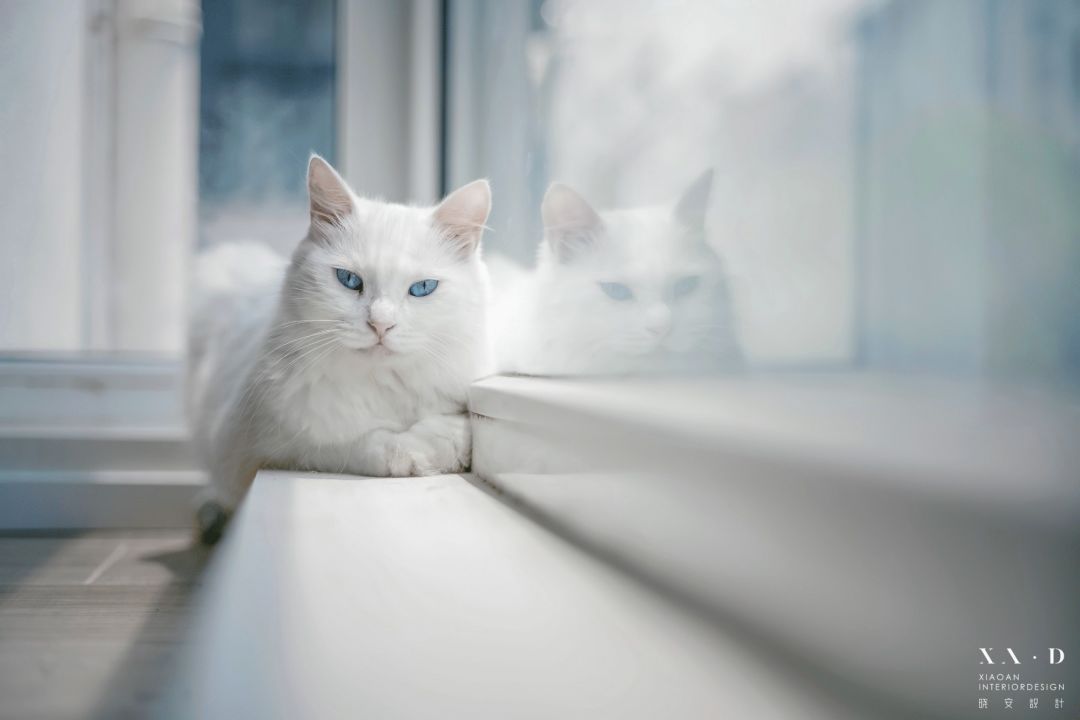 苏州品苑私宅改造 | 精神放松的现代宜居空间-0