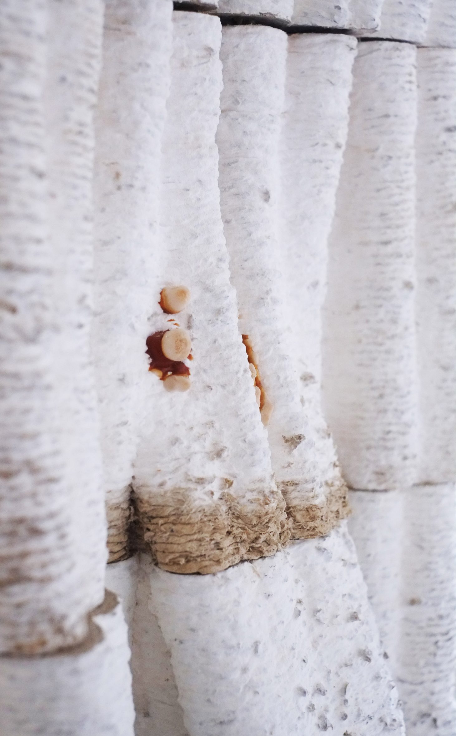 3D 打印"可食建筑" | 蘑菇柱现身伦敦设计博物馆-14