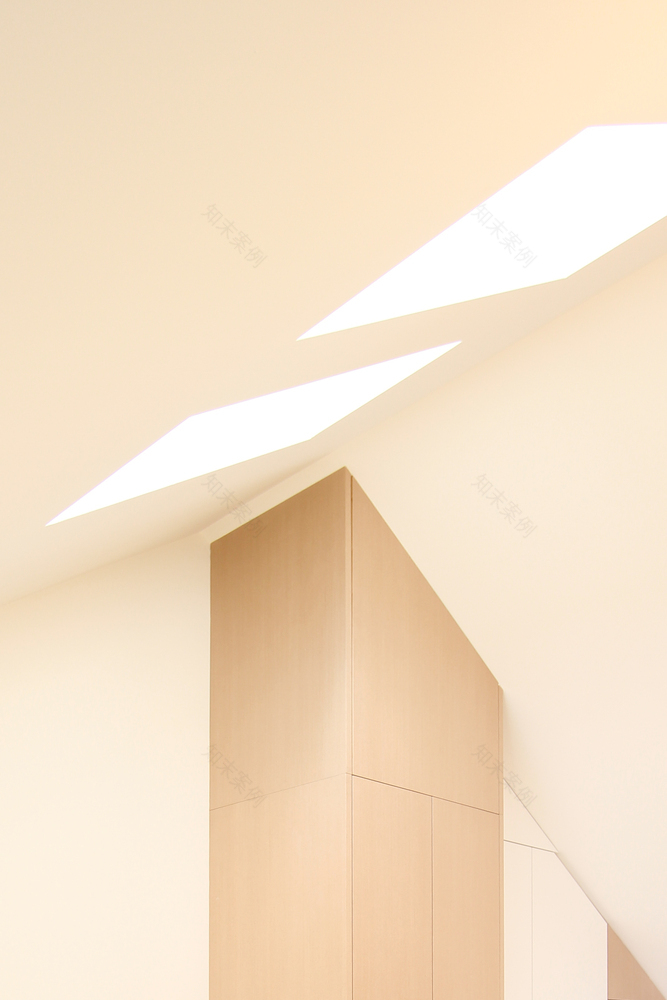 巧夺天工的巴尔曼联排住宅设计-78