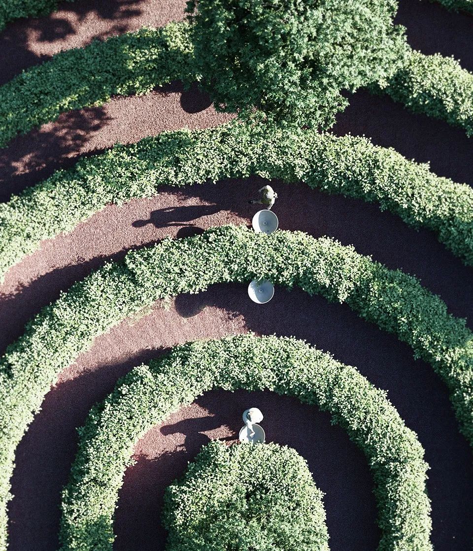 疫情下的公园设计 - 距离公园，维也纳 / Studio Precht-37