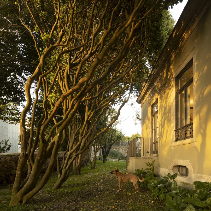 GC House | FCC Arquitectura-115