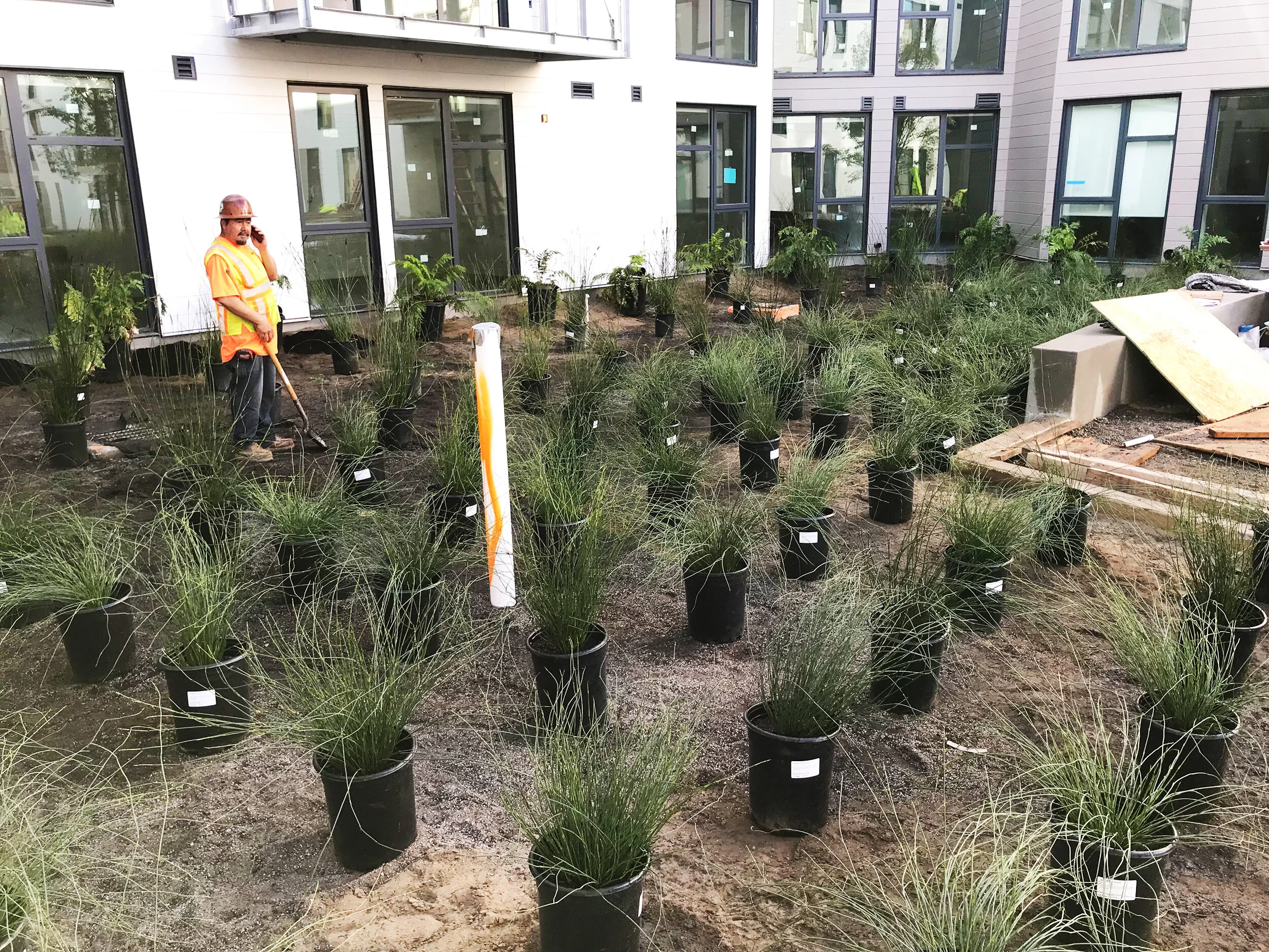 Mariposa Greenway（马里波萨绿道）丨美国丨Fletcher Studio（弗莱彻工作室）-88