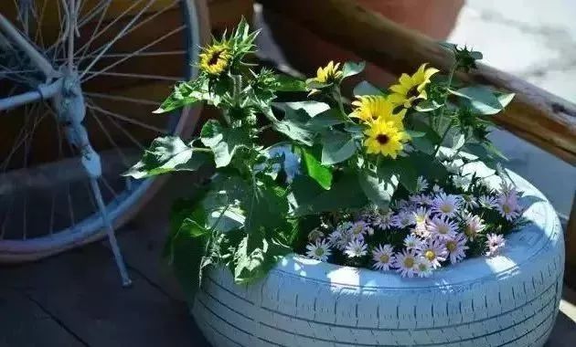 打造孩子喜爱的趣味庭院-3