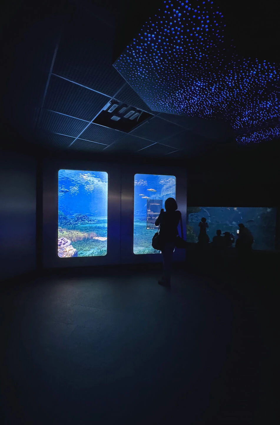 SAN SEBASTIAN AQUARIUM. INTERACTIVE INSTALLATIONS-13