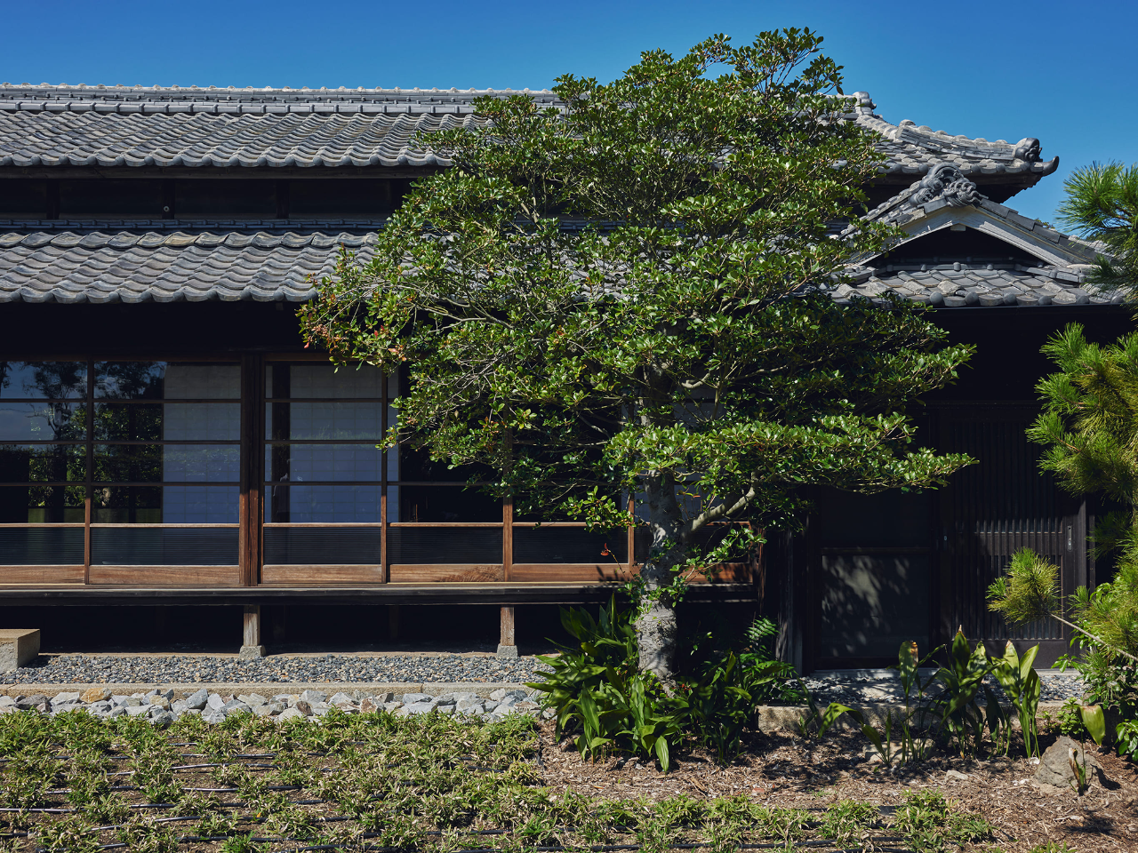 本岛避难所丨日本丨Makoto Yamaguchi-60