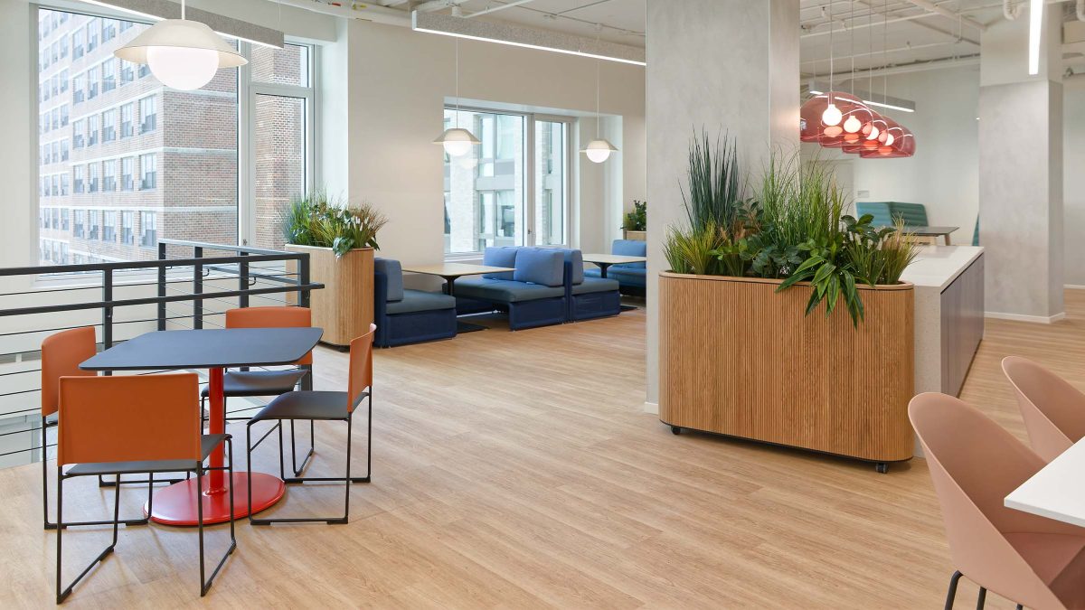 华人策划协会，纽约 -12