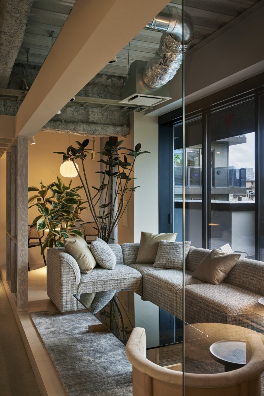 Morght 办公室丨moss.-3