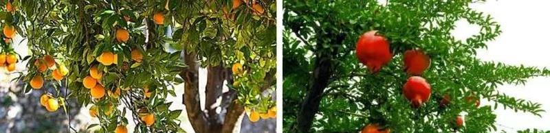 朗诗常青藤康悦坊·五马渡站丨中国南京-54