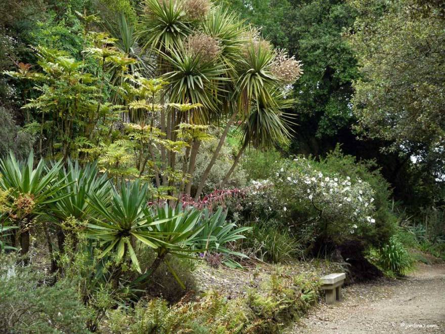 Парки и сады Монмаран(蒙马兰公园和花园)丨法国-15
