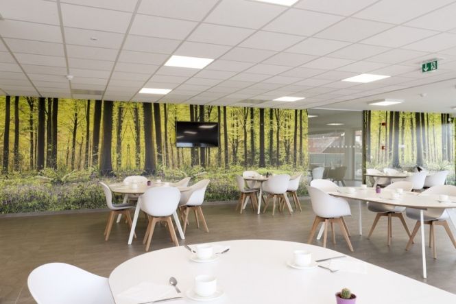 WZC Vinkenbosch养老住宅项目丨DFM architectural office-6