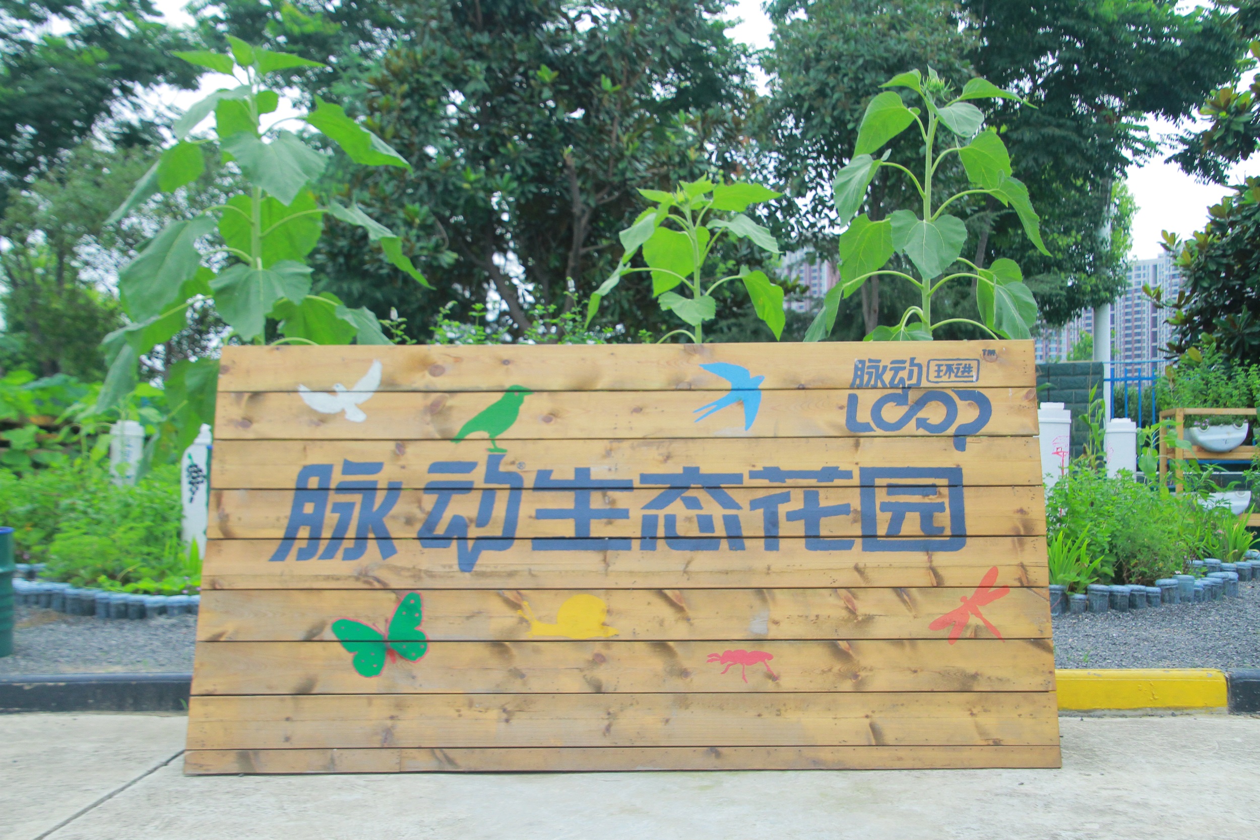 武汉脉动生态花园：一座由工厂废弃物建成的花园丨中国武汉丨盖娅朴门设计-1