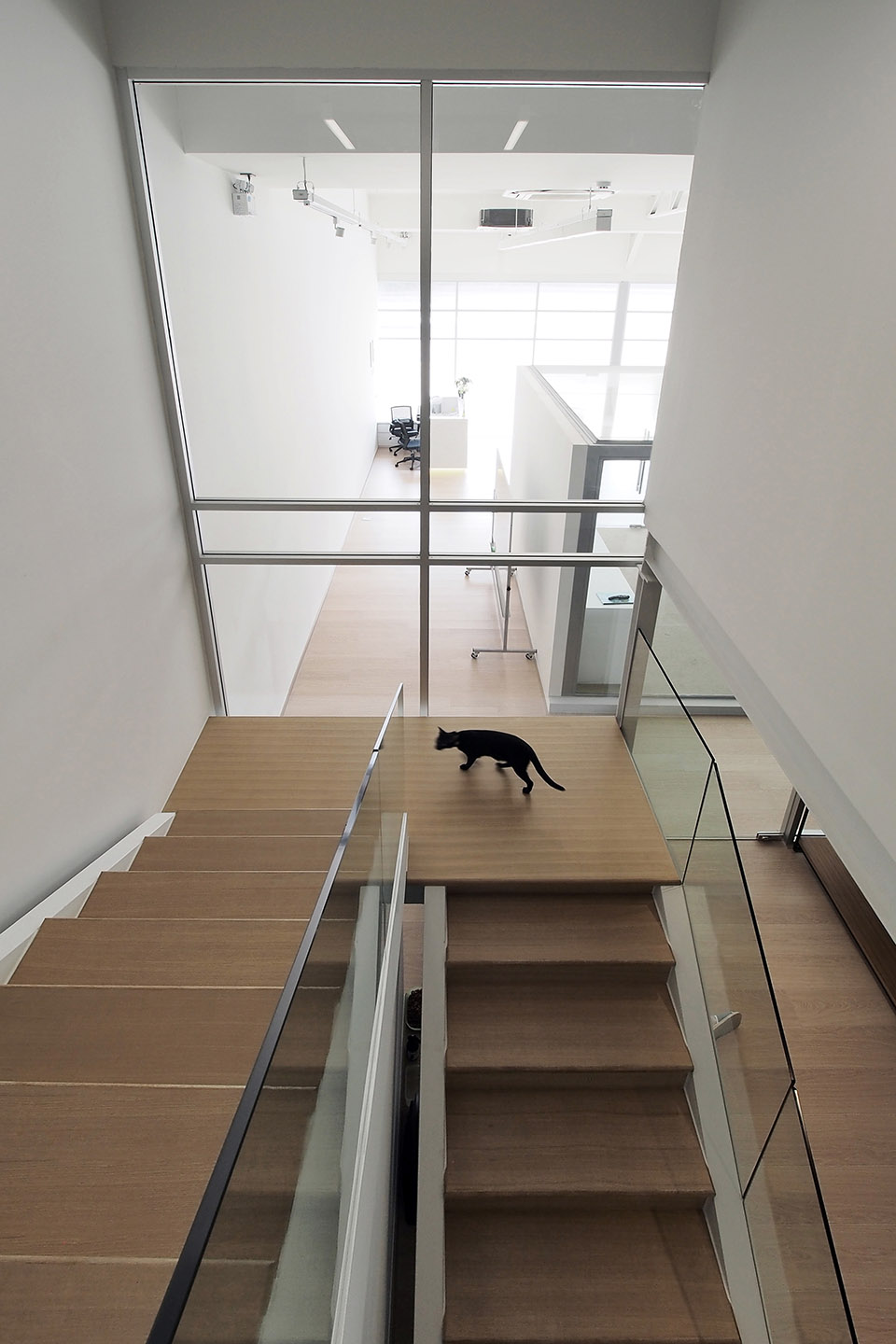 1.6办公空间，曼谷 / ASWA-34