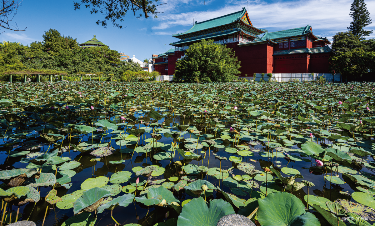 40年一次心傾注打造環境共好銀級綠建築 - WEHOUSE-3