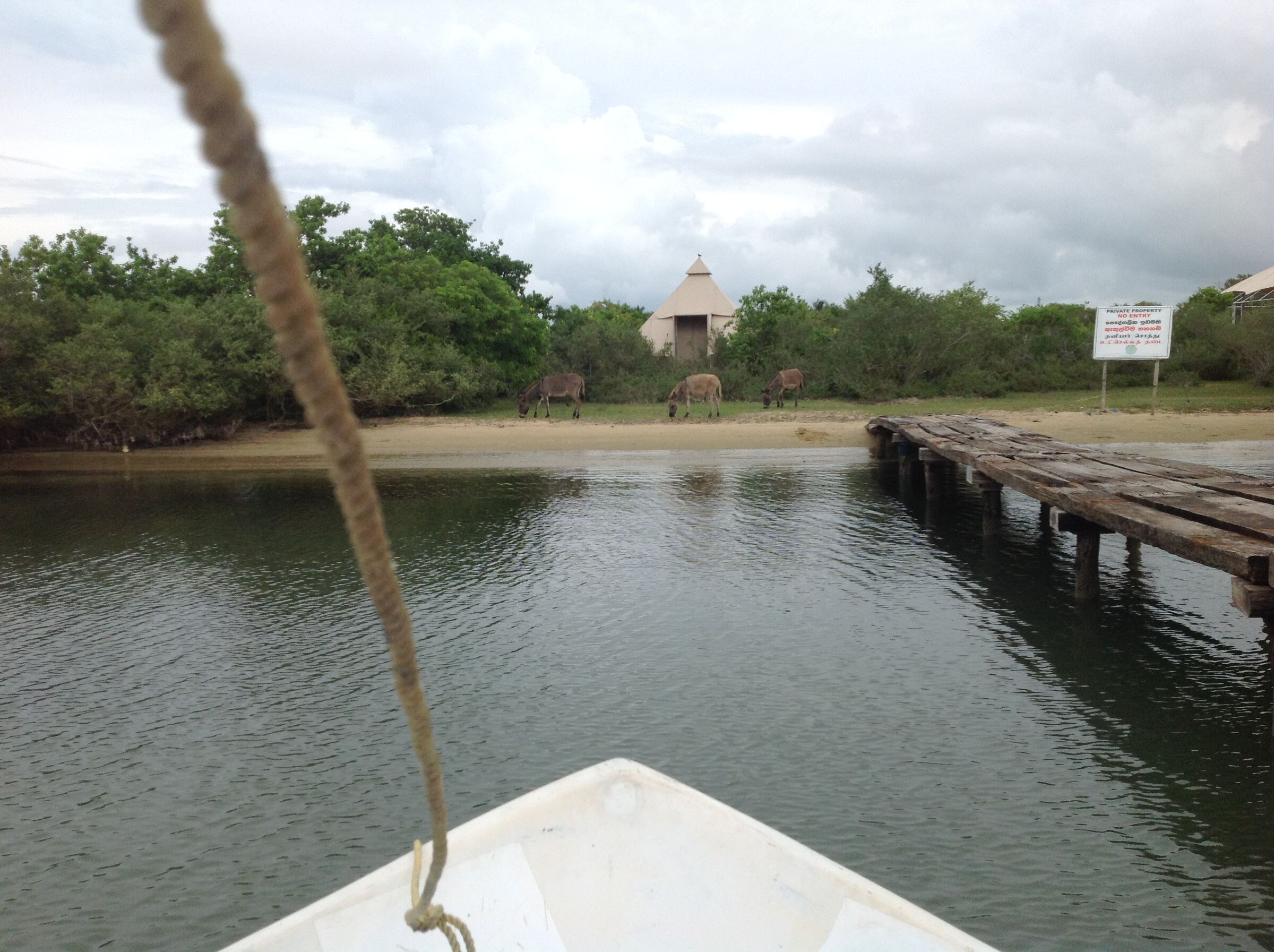 生态奢华，融入自然的帐篷营地-29