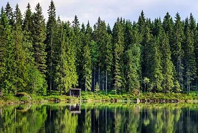 归隐南山 | 北欧风诗意桃源之家-17