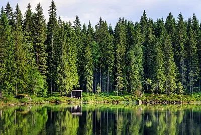 归隐南山 | 北欧风诗意桃源之家-17