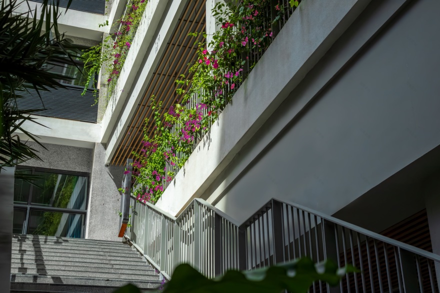 深圳市宝安中学(集团)海天学校丨中国深圳丨HILL 希尔景观-39