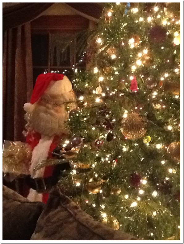 Annette家的圣诞节室内布置丨美国俄亥俄-8