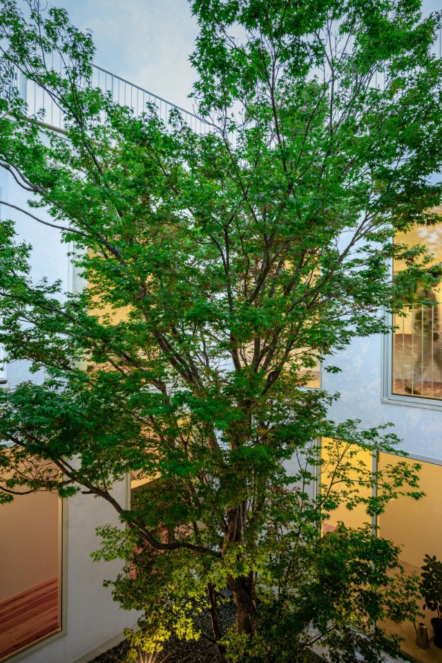 丨日本埼玉丨Florian Busch Architects-54