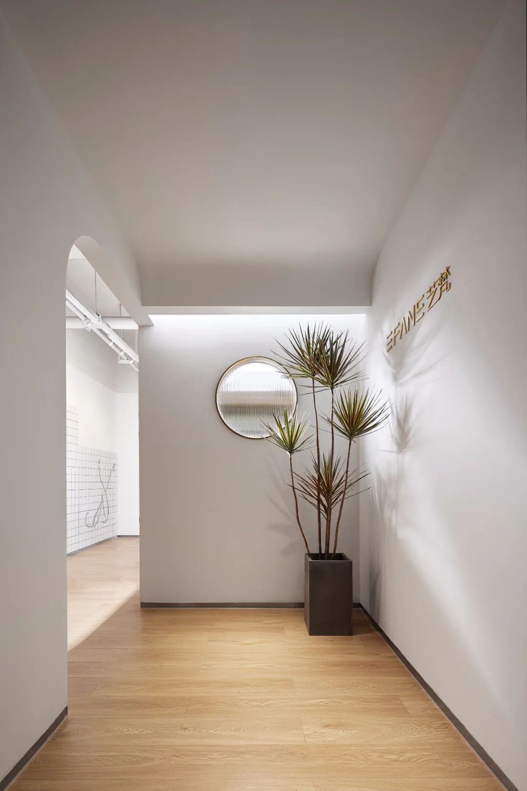 杭州艺梵普拉提馆 | 废旧材料二次利用,打造人猫共享空间-0