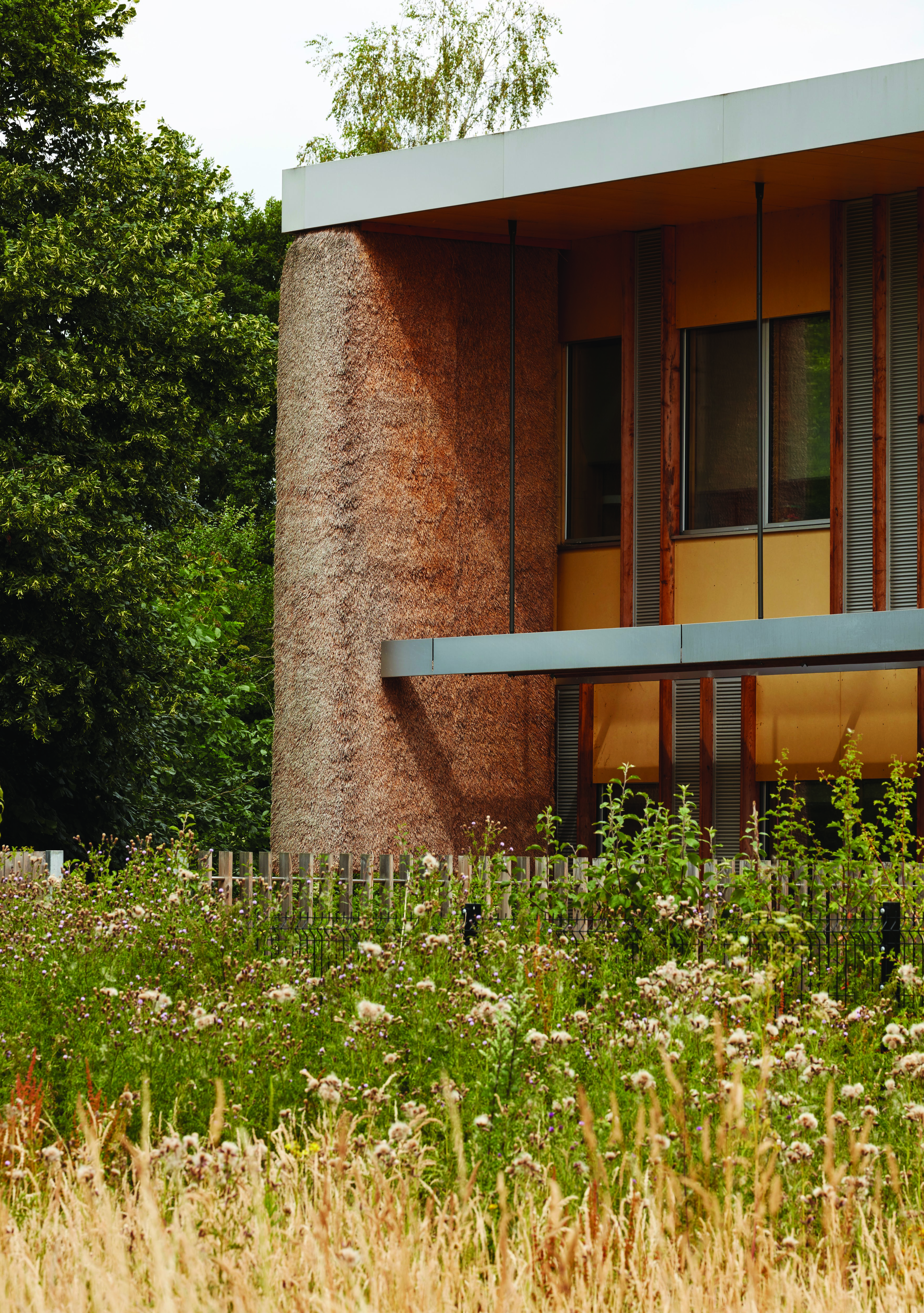 东安格利亚大学企业中心丨英国丨Architype-14