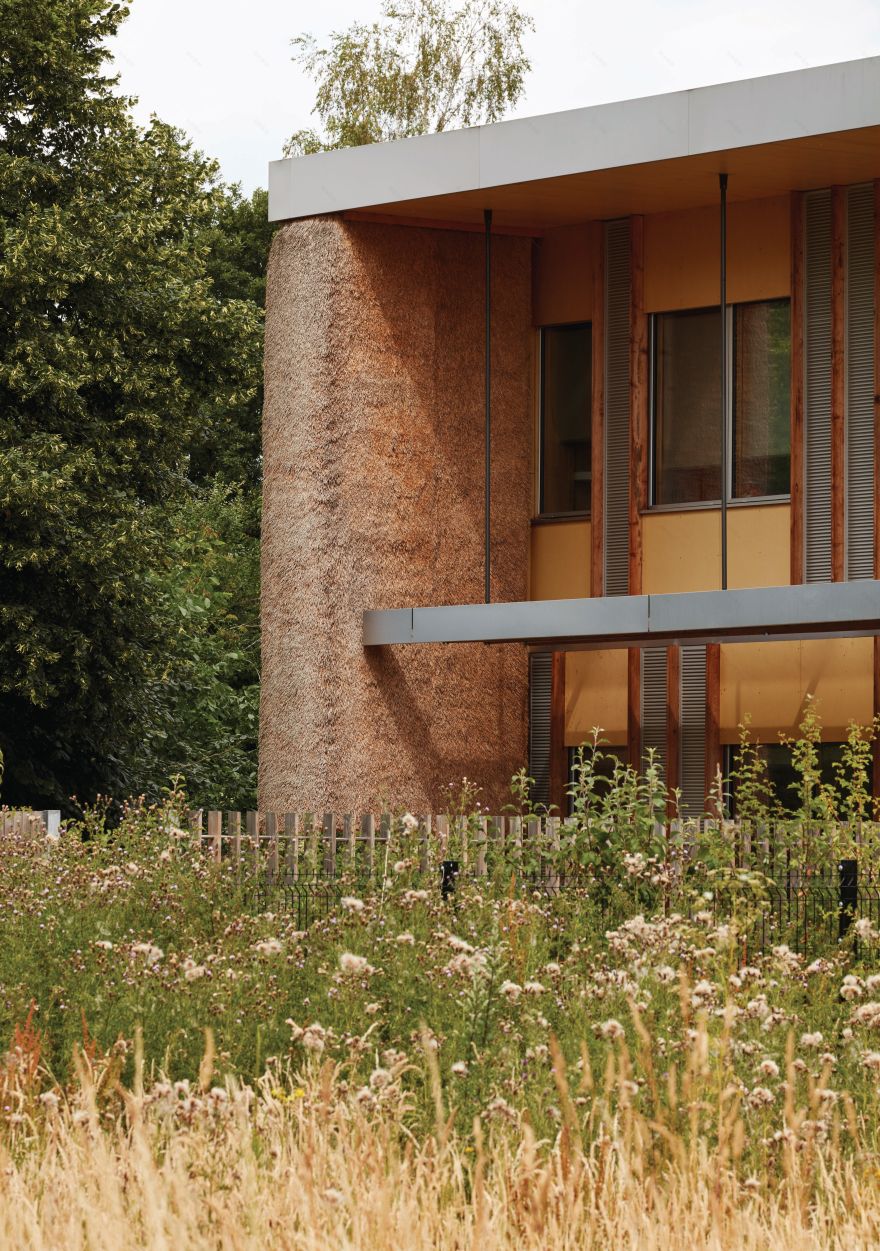 东安格利亚大学企业中心丨英国丨Architype-14