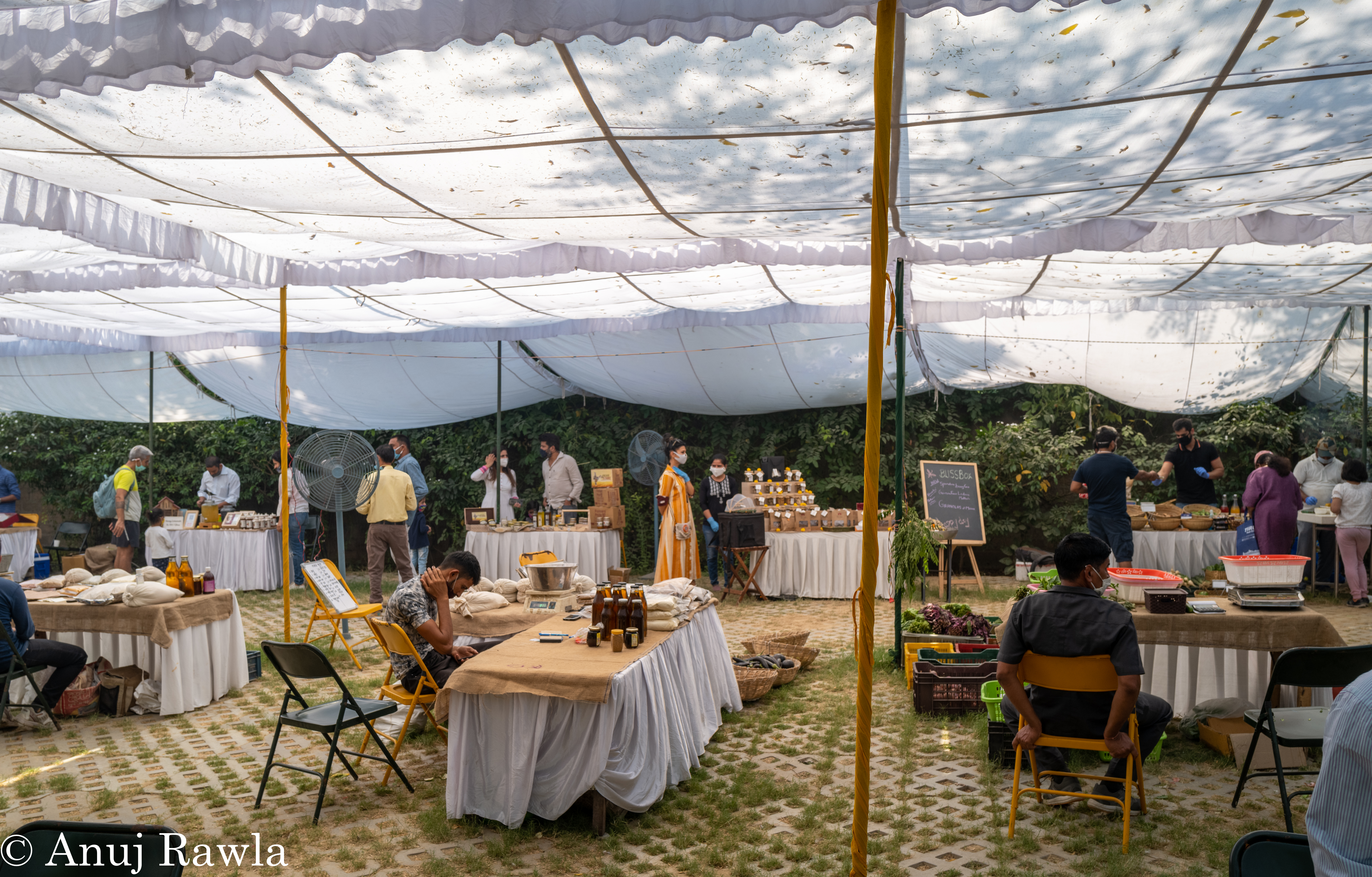 Sunder Nagar Nursery - Oct 2020 Sunday Market-8