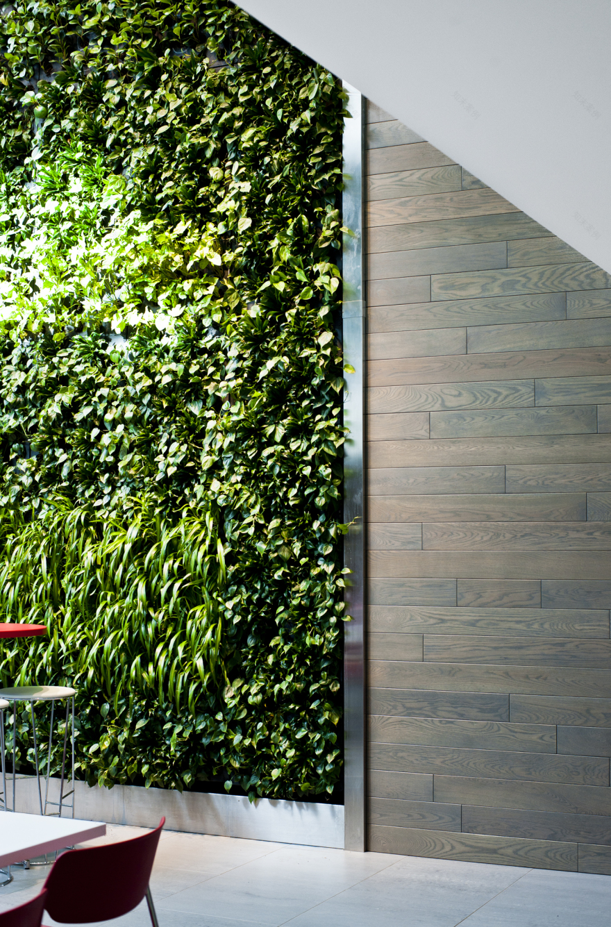 摩登 Luxottica 集团办公室 | 红白灰演绎高效工作环境-24