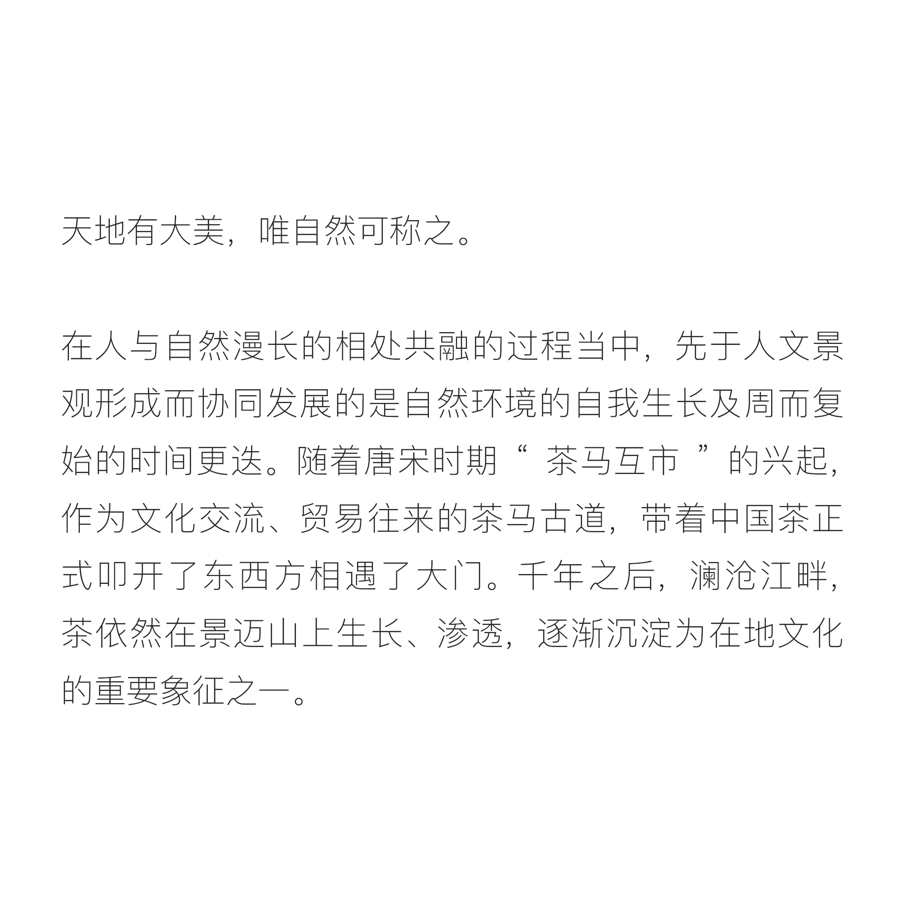 景迈山·茶马古窖丨中国云南丨MASA Studio 建筑事务所-31