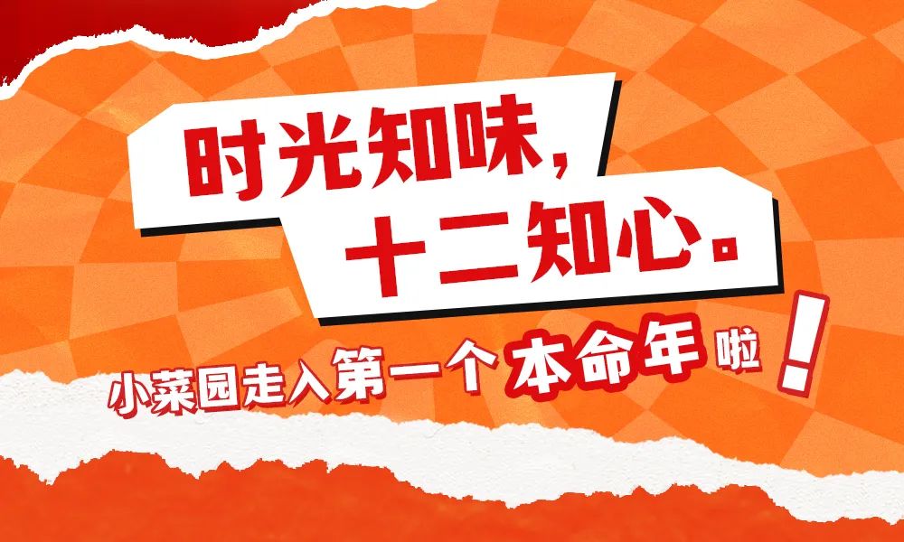 小菜园|十二周年庆|260000+张刮刮乐，百分百中奖！-2