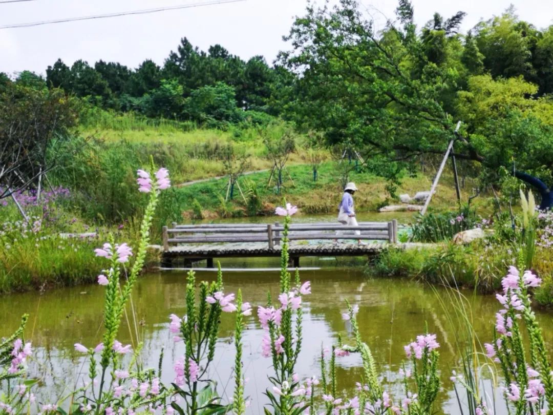 穿过喧嚣 走进时光·来高淳东坝看美丽乡村-43