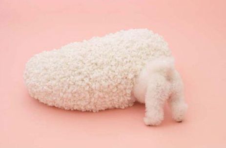 国际爱犬日特别策划 | 创意犬屋设计大赏-38