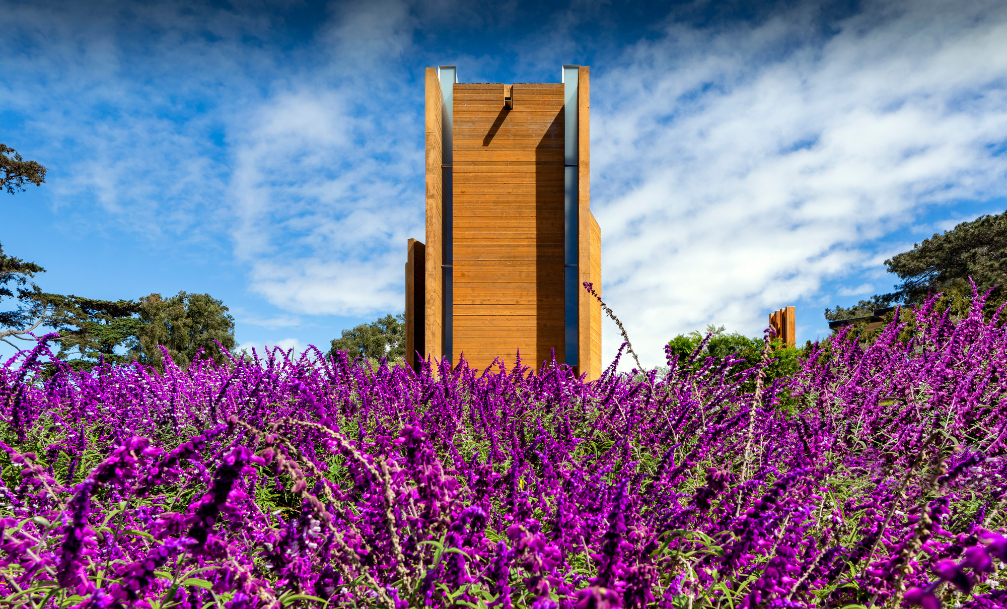 Point Loma Nazarene University Prescott Chapel / Carrier Johnson + Culture-16