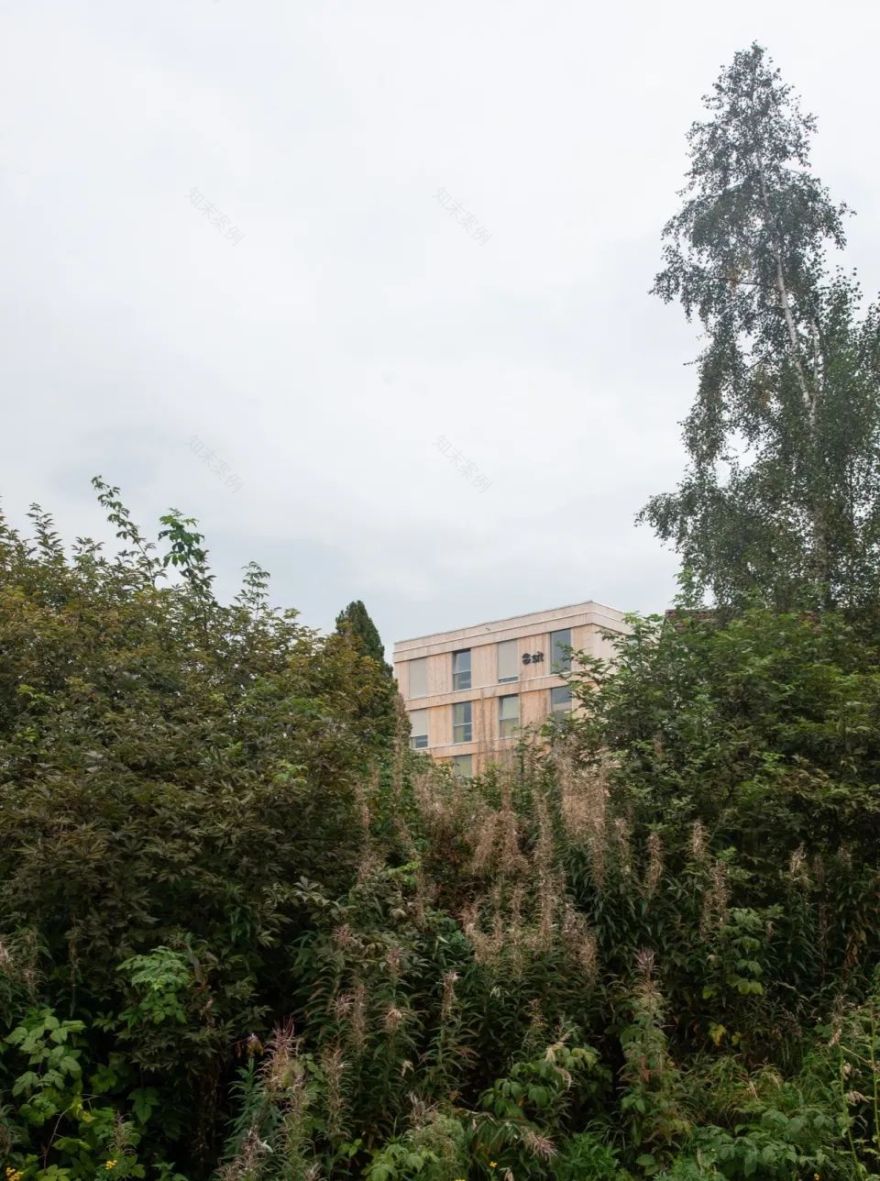 Kallerud学生公寓:模块化木结构住宅-14