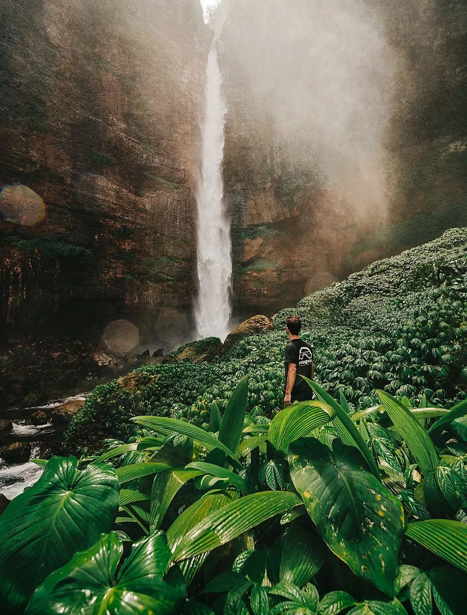 绿色震撼心灵 | 全球绿色摄影大赛获奖作品欣赏-143