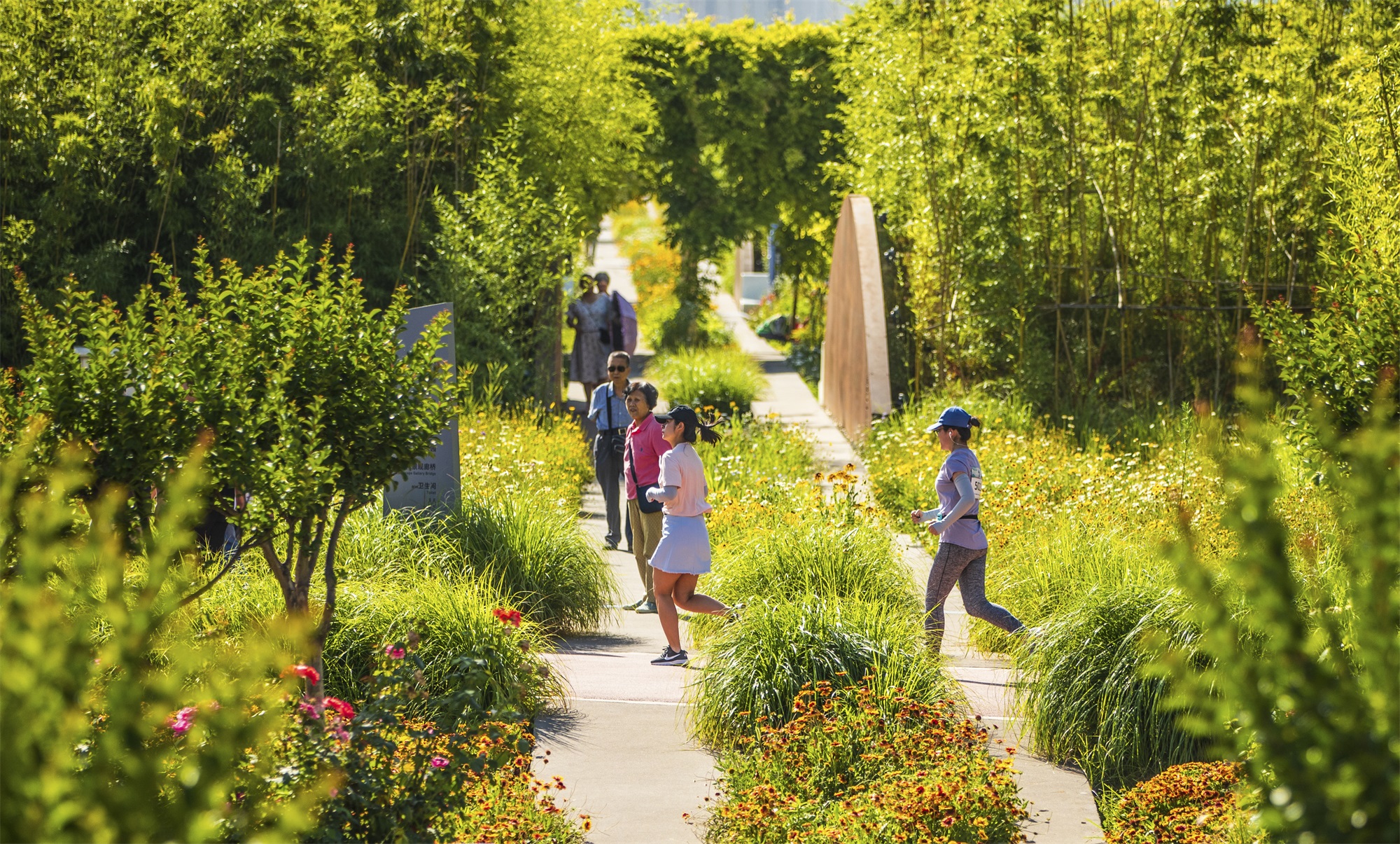 西安雁南公园（二期）丨中国西安丨土人设计（Turenscape）-114