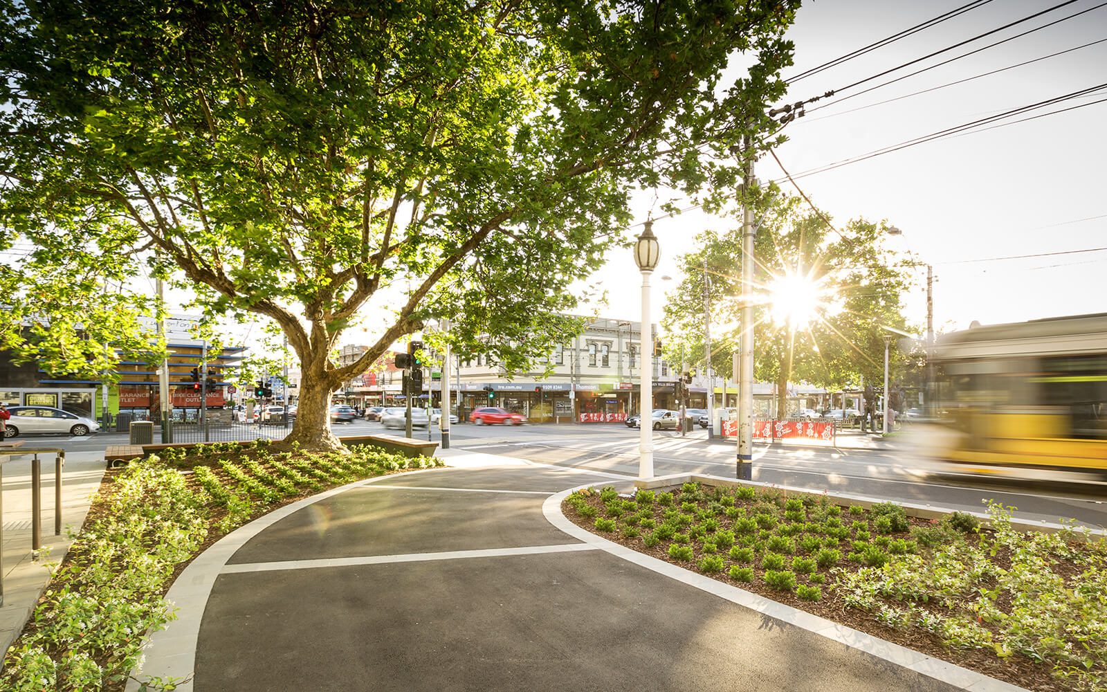 Malvern Town Hall景观设计丨MDG Landscape Architects-3