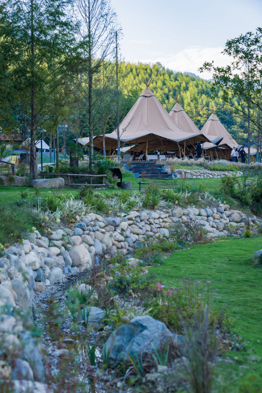 数一轮晨夕 折一朵明媚 | 安吉小杭坑营地-59