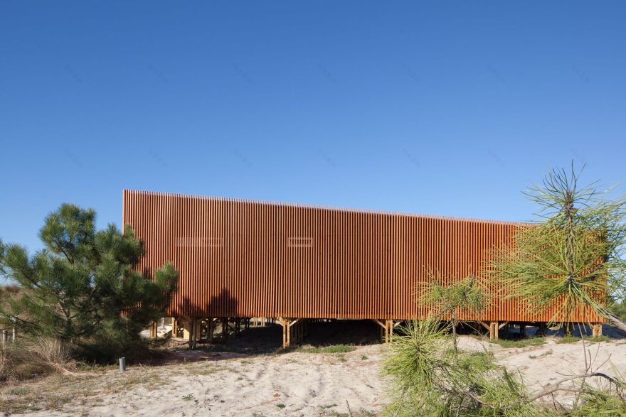 Support Center for Sports Activities / Branco Cavaleiro Architects-25