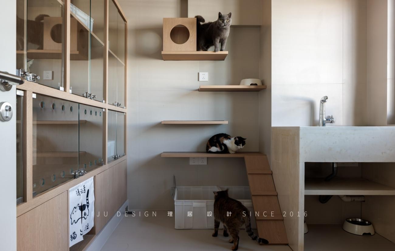 63㎡老房爆改流浪猫之家丨中国厦门丨理居设计-22