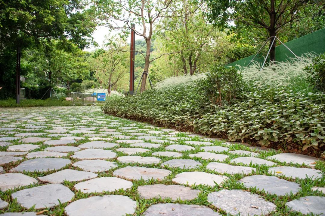 紫涧园（郊野径入口）景观设计丨东大（深圳）设计有限公司,AECOM-58