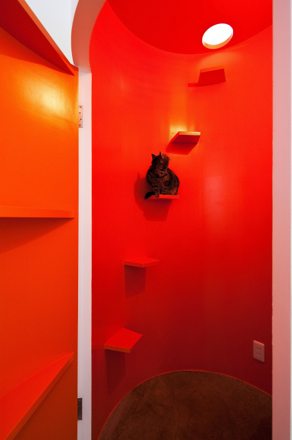 bucalone #068  COGITE住宅丨日本宫崎丨有限会社COGITE-7