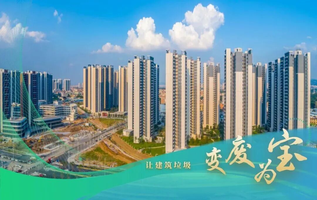 【建证·筑梦】建证“木棉花开”-6