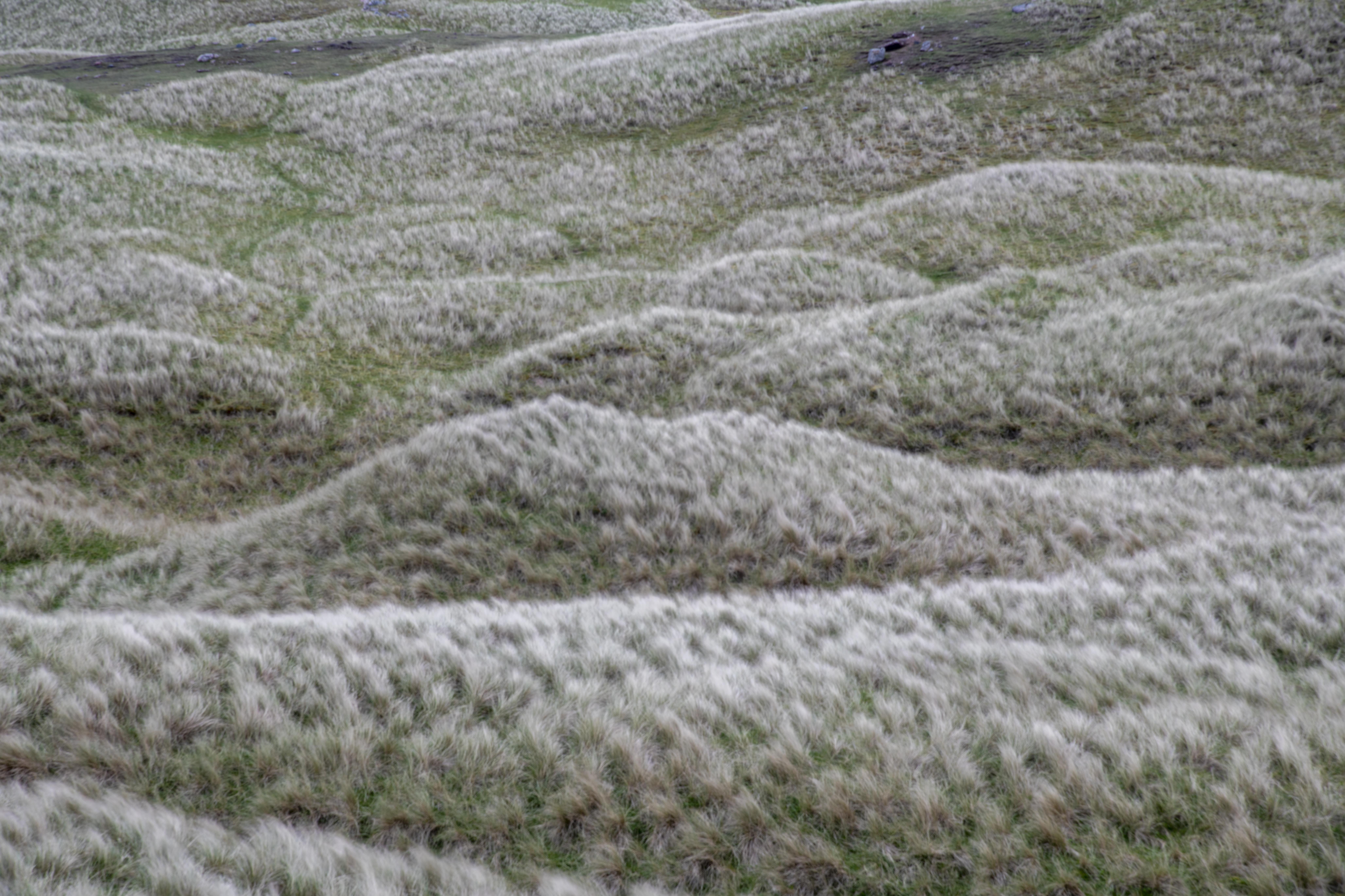 Scotland Northern Explorer-4