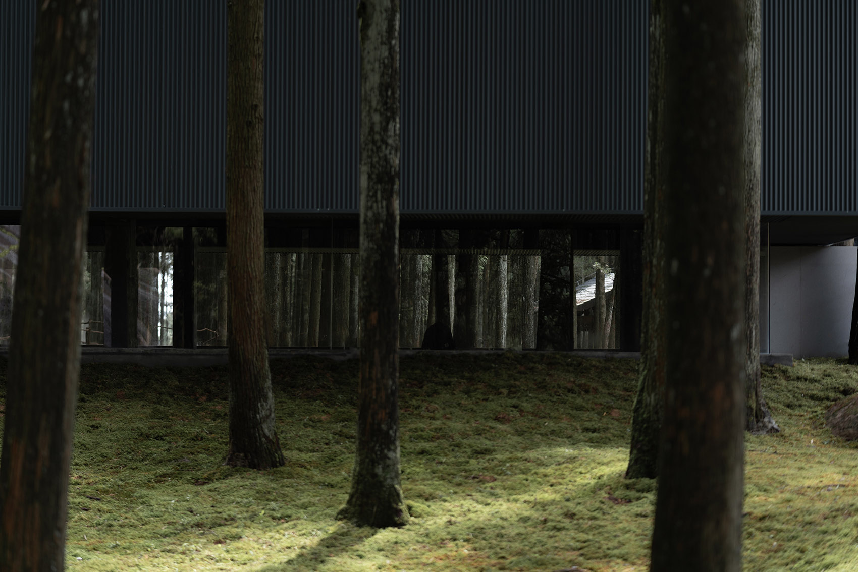 MOJ 森林咖啡丨中国温州丨杭州偲所设计-56