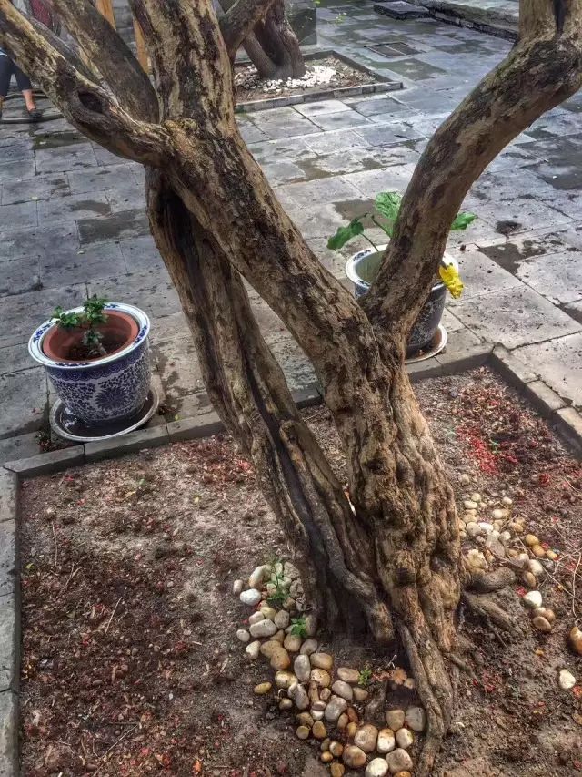 你要找的北京味,自在八归——四合院都有!-48